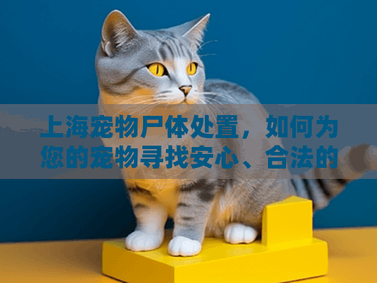 上海宠物尸体处置，如何为您的宠物寻找安心、合法的后事服务？