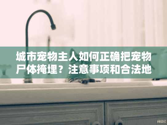 城市宠物主人如何正确把宠物尸体掩埋？注意事项和合法地点指南