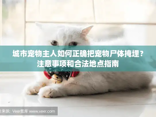 城市宠物主人如何正确把宠物尸体掩埋？注意事项和合法地点指南