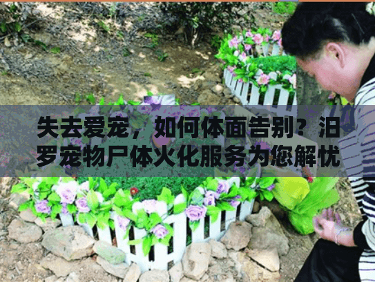 失去爱宠，如何体面告别？汨罗宠物尸体火化服务为您解忧