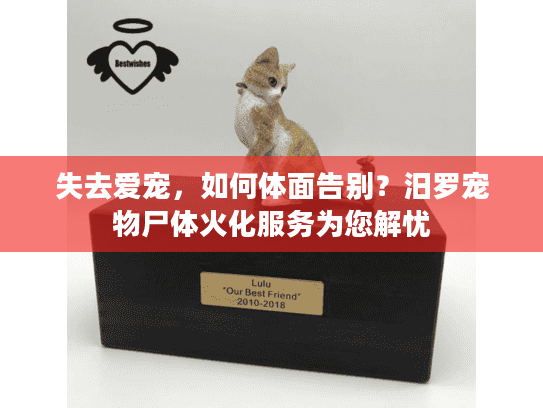 失去爱宠，如何体面告别？汨罗宠物尸体火化服务为您解忧