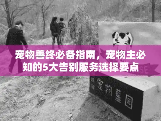 宠物善终必备指南，宠物主必知的5大告别服务选择要点