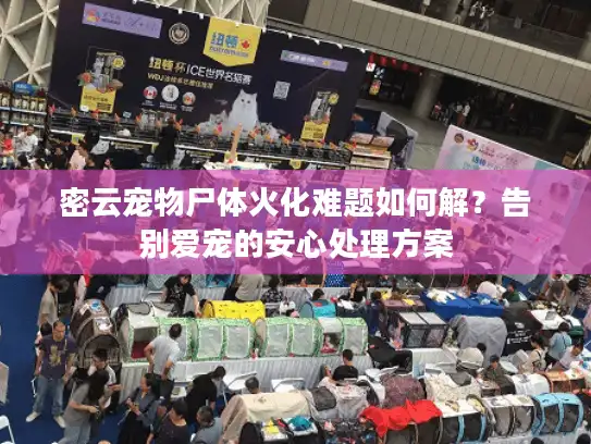 密云宠物尸体火化难题如何解？告别爱宠的安心处理方案