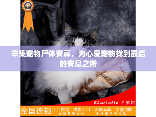 辛集宠物尸体安葬，为心爱宠物找到最后的安息之所