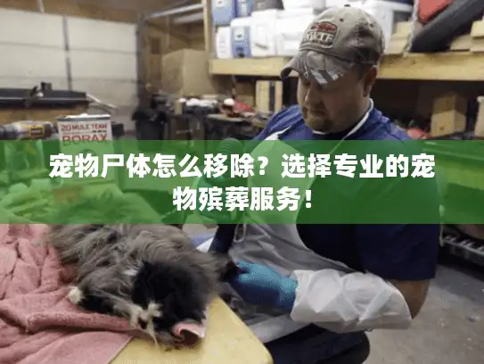 宠物尸体怎么移除?选择专业的宠物殡葬服务! 宠物尸体怎么移除?选择专业的宠物殡葬服务!