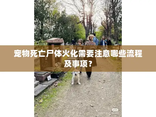 宠物死亡尸体火化需要注意哪些流程及事项? 宠物死亡尸体火化需要注意哪些流程及事项?