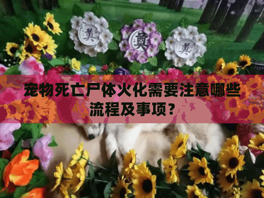 宠物死亡尸体火化需要注意哪些流程及事项? 宠物死亡尸体火化需要注意哪些流程及事项?