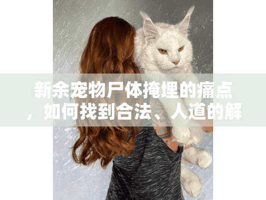 新余宠物尸体掩埋的痛点，如何找到合法、人道的解决方案？