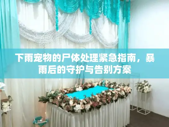 下雨宠物的尸体处理紧急指南，暴雨后的守护与告别方案
