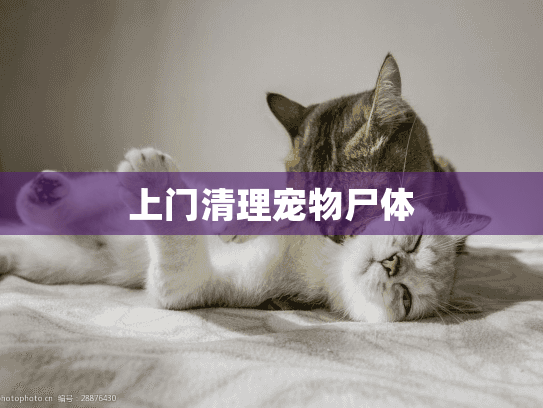 上门清理宠物尸体