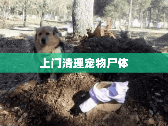 上门清理宠物尸体