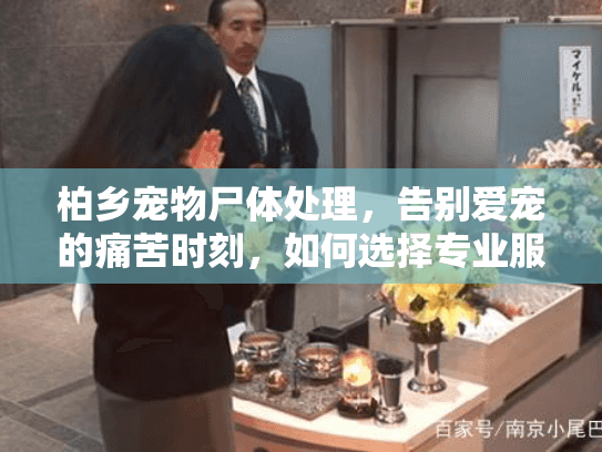 柏乡宠物尸体处理,告别爱宠的痛苦时刻,如何选择专业服务 柏乡宠物尸体处理,告别爱宠的痛苦时刻,如何选择专业服务