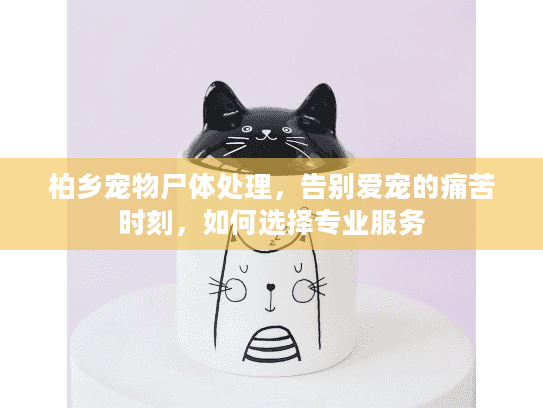 柏乡宠物尸体处理,告别爱宠的痛苦时刻,如何选择专业服务 柏乡宠物尸体处理,告别爱宠的痛苦时刻,如何选择专业服务