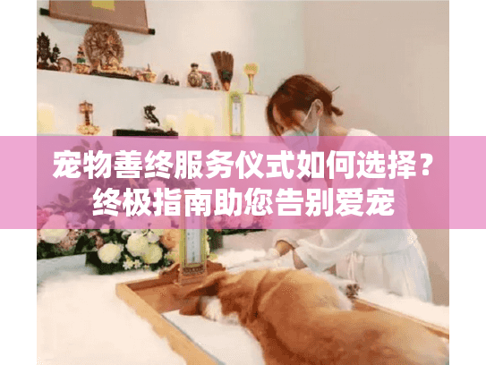 宠物善终服务仪式如何选择？终极指南助您告别爱宠