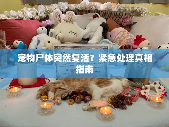 宠物尸体突然复活？紧急处理真相指南
