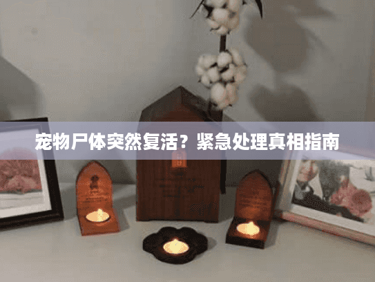 宠物尸体突然复活？紧急处理真相指南