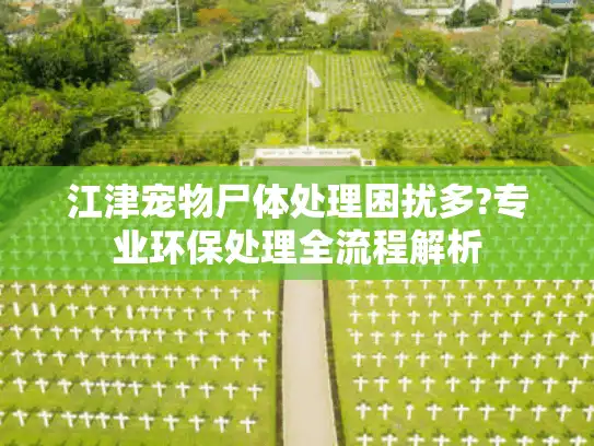 江津宠物尸体处理困扰多?专业环保处理全流程解析
