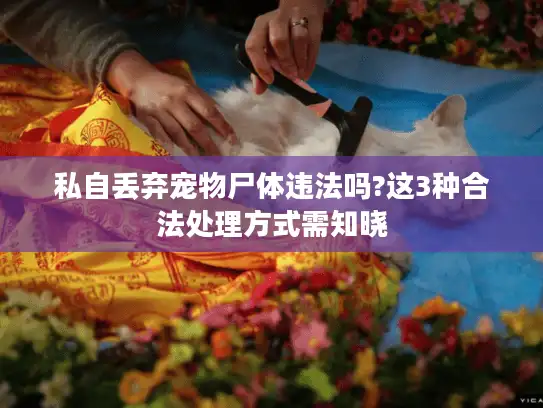 私自丢弃宠物尸体违法吗?这3种合法处理方式需知晓