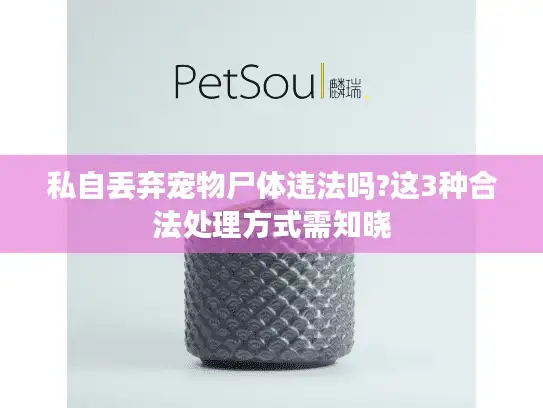 私自丢弃宠物尸体违法吗?这3种合法处理方式需知晓