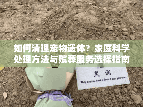 如何清理宠物遗体？家庭科学处理方法与殡葬服务选择指南