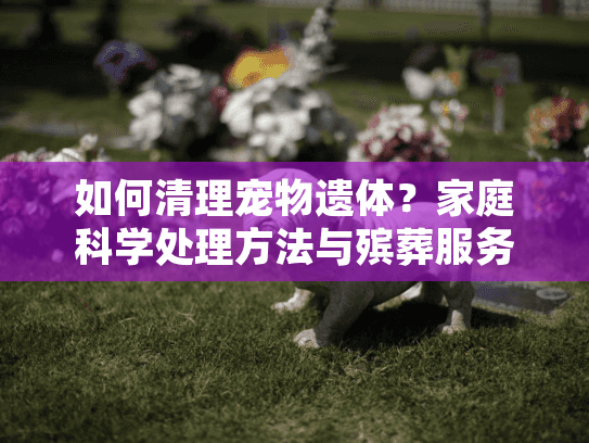 如何清理宠物遗体？家庭科学处理方法与殡葬服务选择指南