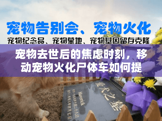 宠物去世后的焦虑时刻,移动宠物火化尸体车如何提供快速解决方案? 宠物去世后的焦虑时刻,移动宠物火化尸体车如何提供快速解决方案?