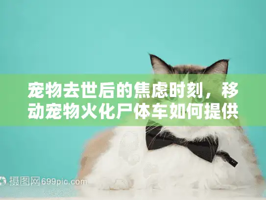 宠物去世后的焦虑时刻,移动宠物火化尸体车如何提供快速解决方案? 宠物去世后的焦虑时刻,移动宠物火化尸体车如何提供快速解决方案?