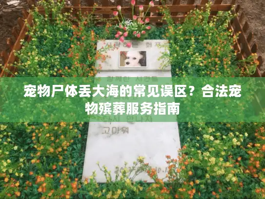 宠物尸体丢大海的常见误区？合法宠物殡葬服务指南