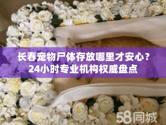 长春宠物尸体存放哪里才安心?24小时专业机构权威盘点 长春宠物尸体存放哪里才安心?24小时专业机构权威盘点