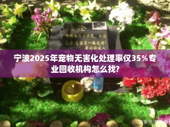 宁波2025年宠物无害化处理率仅35%专业回收机构怎么找?