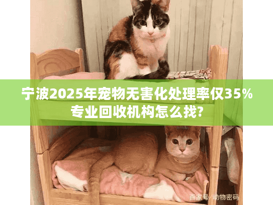 宁波2025年宠物无害化处理率仅35%专业回收机构怎么找?