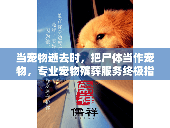 当宠物逝去时，把尸体当作宠物，专业宠物殡葬服务终极指南