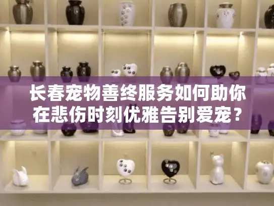 长春宠物善终服务如何助你在悲伤时刻优雅告别爱宠？