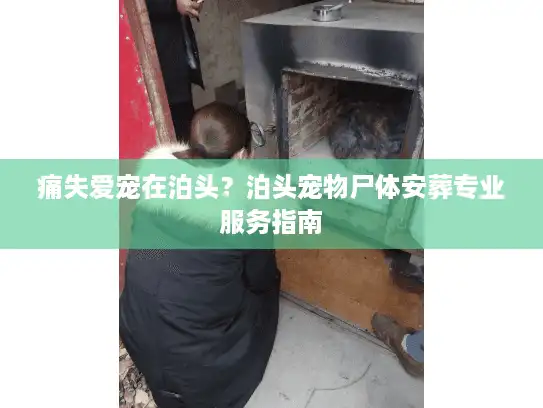痛失爱宠在泊头?泊头宠物尸体安葬专业服务指南 痛失爱宠在泊头?泊头宠物尸体安葬专业服务指南