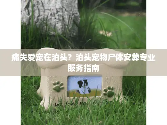 痛失爱宠在泊头?泊头宠物尸体安葬专业服务指南 痛失爱宠在泊头?泊头宠物尸体安葬专业服务指南