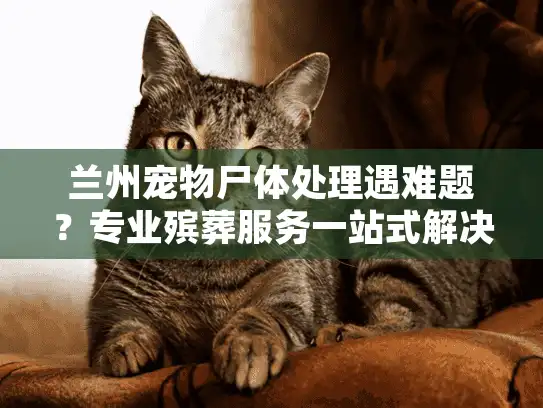 兰州宠物尸体处理遇难题？专业殡葬服务一站式解决