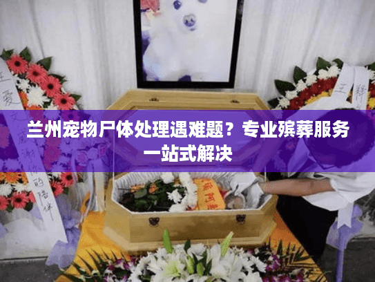 兰州宠物尸体处理遇难题？专业殡葬服务一站式解决