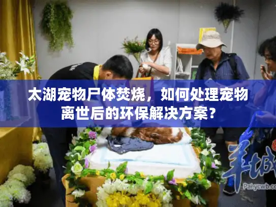 太湖宠物尸体焚烧,如何处理宠物离世后的环保解决方案? 太湖宠物尸体焚烧,如何处理宠物离世后的环保解决方案?