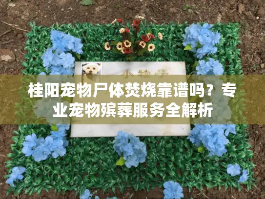 桂阳宠物尸体焚烧靠谱吗？专业宠物殡葬服务全解析