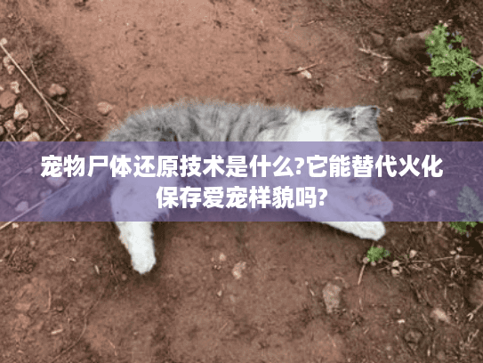 宠物尸体还原技术是什么?它能替代火化保存爱宠样貌吗?