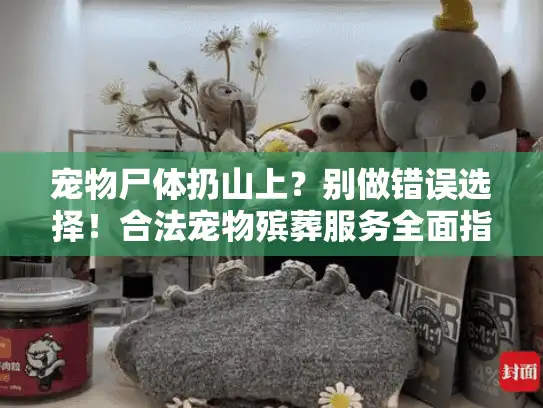 宠物尸体扔山上?别做错误选择!合法宠物殡葬服务全面指南 宠物尸体扔山上?别做错误选择!合法宠物殡葬服务全面指南