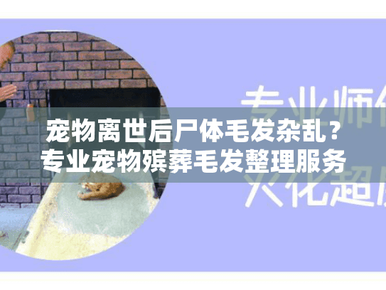 宠物离世后尸体毛发杂乱?专业宠物殡葬毛发整理服务解决指南 宠物离世后尸体毛发杂乱?专业宠物殡葬毛发整理服务解决指南