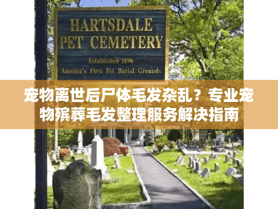 宠物离世后尸体毛发杂乱?专业宠物殡葬毛发整理服务解决指南 宠物离世后尸体毛发杂乱?专业宠物殡葬毛发整理服务解决指南