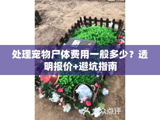 处理宠物尸体费用一般多少?透明报价+避坑指南 处理宠物尸体费用一般多少?透明报价+避坑指南