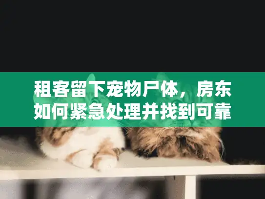 租客留下宠物尸体，房东如何紧急处理并找到可靠宠物殡葬服务？