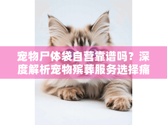 宠物尸体袋自营靠谱吗？深度解析宠物殡葬服务选择痛点