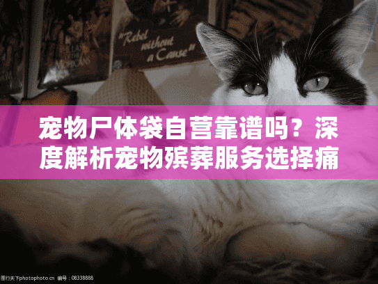 宠物尸体袋自营靠谱吗？深度解析宠物殡葬服务选择痛点