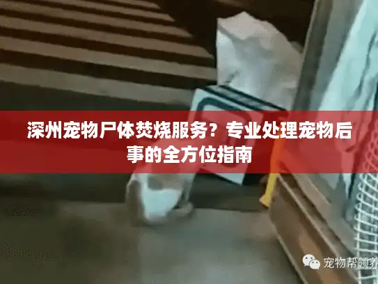深州宠物尸体焚烧服务?专业处理宠物后事的全方位指南 深州宠物尸体焚烧服务?专业处理宠物后事的全方位指南