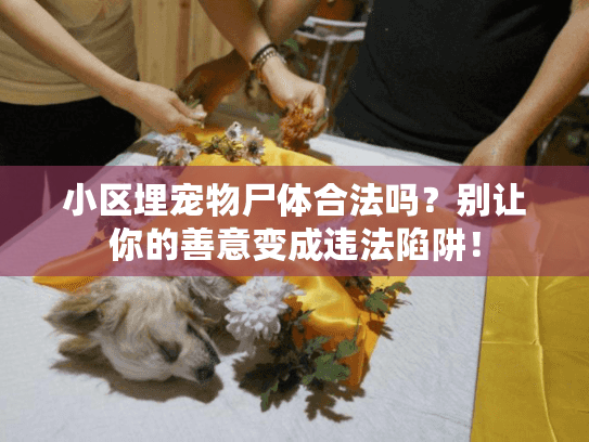 小区埋宠物尸体合法吗？别让你的善意变成违法陷阱！