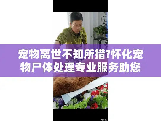 宠物离世不知所措?怀化宠物尸体处理专业服务助您安心告别